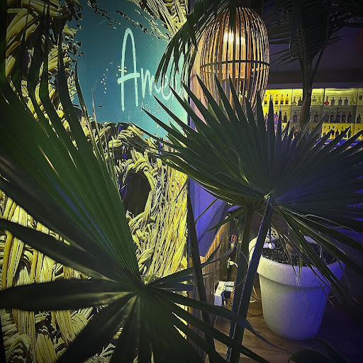 Bali Club - Thumbnail