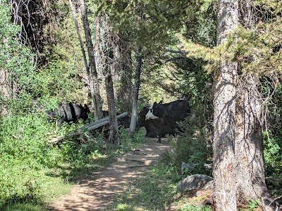 North Fork Overflow Campground