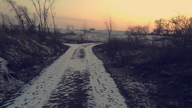 Opinii despre Rybkowo. Spółdzielnia Mieszkaniowa Lokatorsko - Własnościowa în Więcbork - Stowarzyszenie