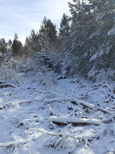 Boswachterij Amerongse Berg - Thumbnail