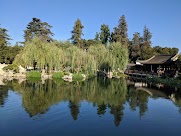 navigate to article about The Huntington Library, Art Museum, and Botanical Gardens