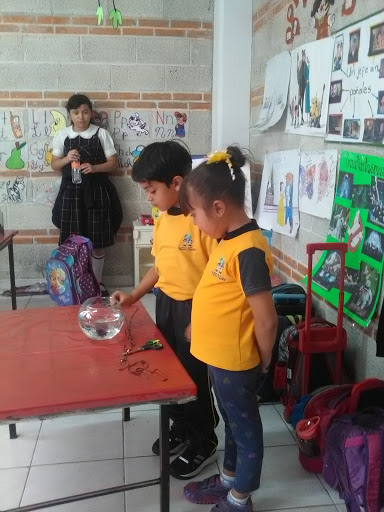 Centro Educativo NUESTRO PLANETA