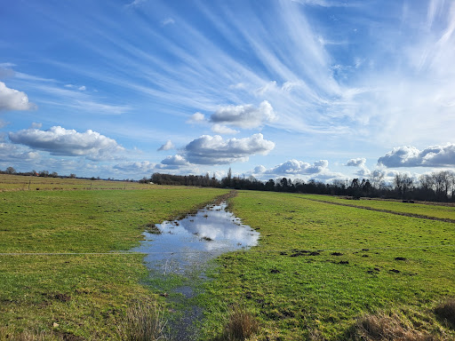 Park links der Weser - Thumbnail