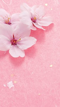 グローウィン中山塾