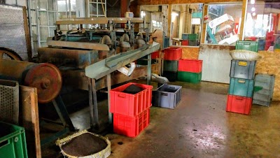 Photos of Baddegama Estate