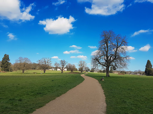 Catton Park - Visual