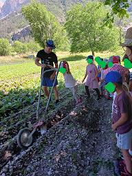 Photo n°12 de Les Jardins de Florette à Les Vigneaux (Ferme bio)