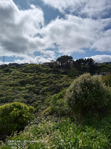 Pinkerton Park