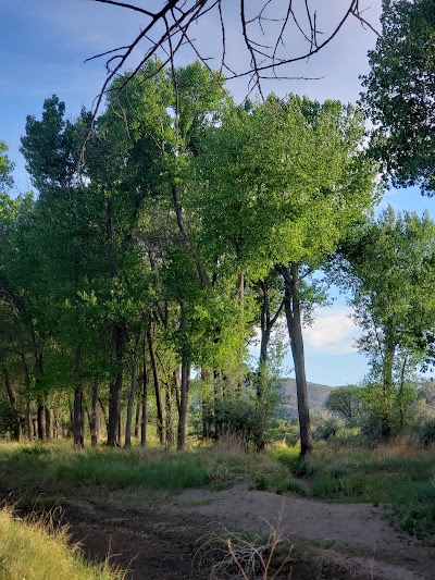 Ambrose Carson River Natural Area