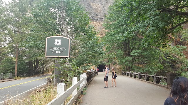 Oneonta Gorge