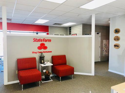 Meg Cano-Schuman - State Farm Insurance Agent - Thumbnail