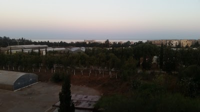 Photos of Hotel El Raouf