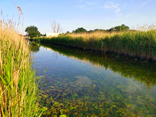 Martham Broad Nature Reserve