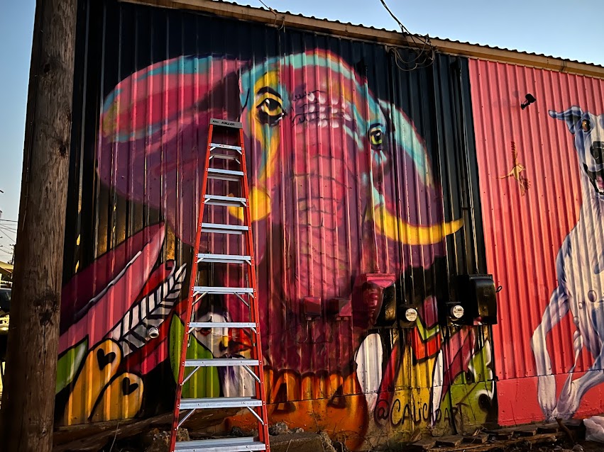 Society Memphis Skatepark And Coffee