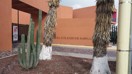 The College of San Luis - Thumbnail
