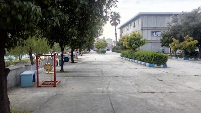 university