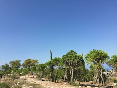 Photos of منتزه الصنوبر-Snoubar Park