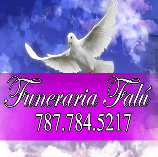 Funeraria Falu Candelaria Toa Baja - Thumbnail
