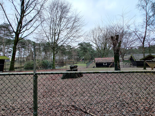 Parkeerplaats Heldense Bossen - Thumbnail