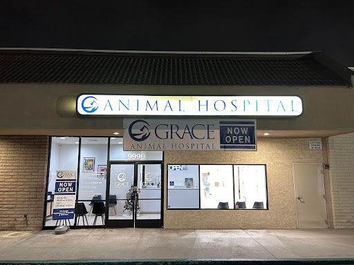 Grace Animal Hospital | Downey - Thumbnail