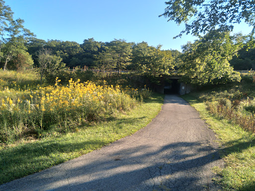 Forest Preserves of Cook County - Thumbnail