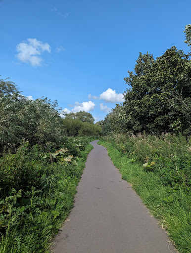 Paul's Path - Visual