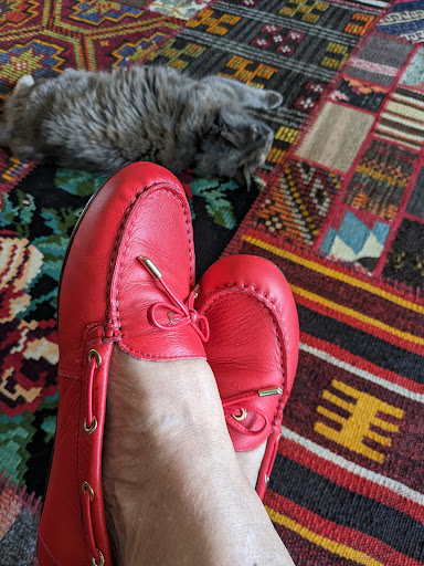 Vionic Shoes