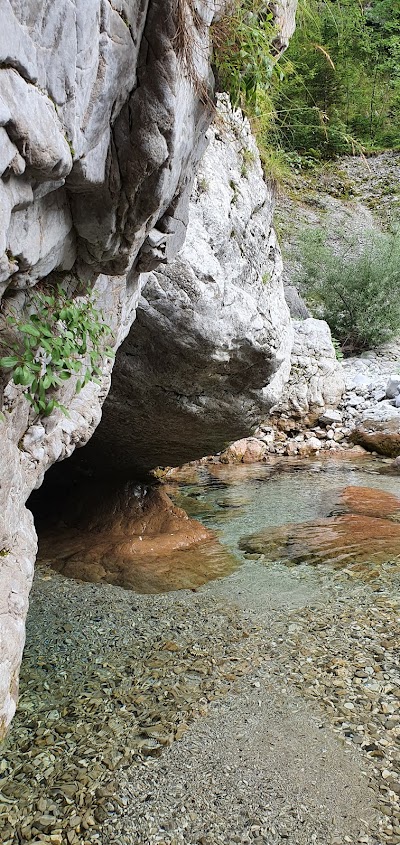 Sorgente del Cellina