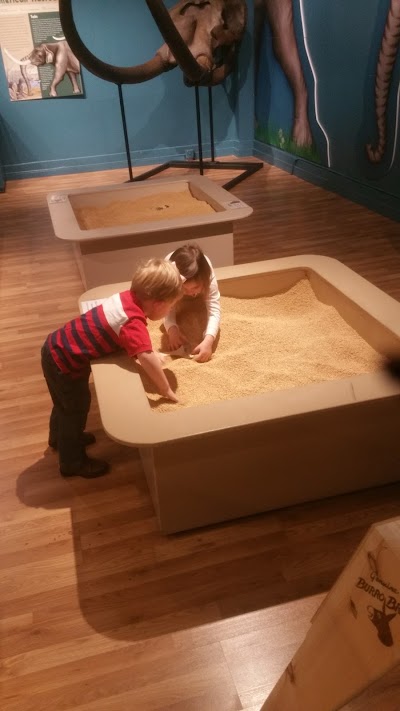 Photos of Georgia Southern Museum