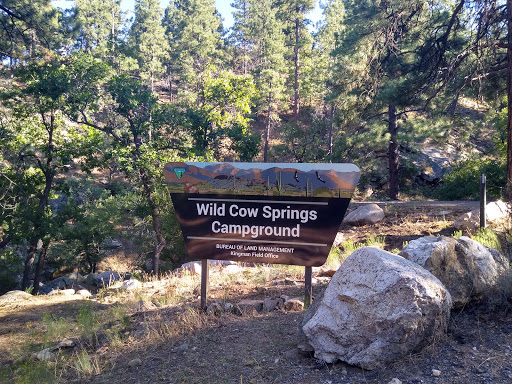 Wild Cow Campground (Federal BLM Land) - Thumbnail