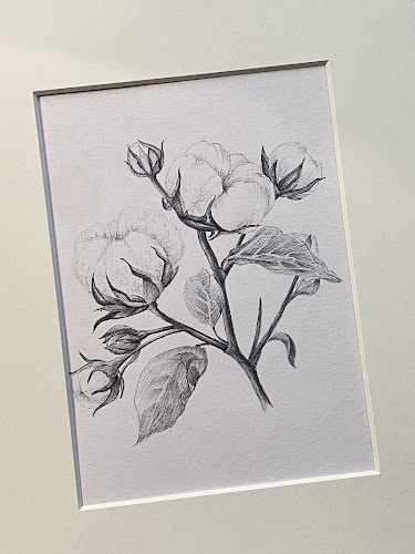 marius popa pictures - Fotograf