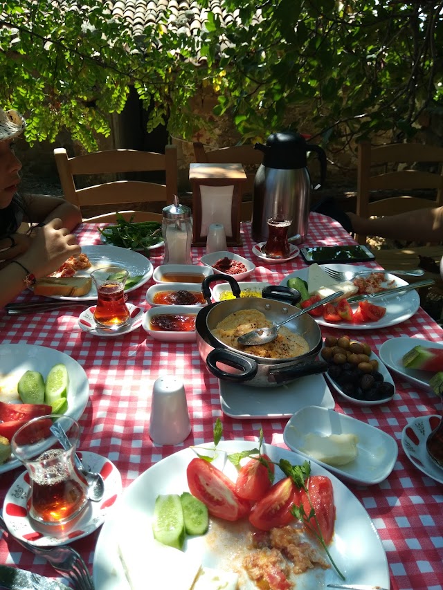 Mustafa'nın Kayfesi