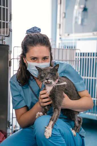 Clínica Veterinaria San Jorge