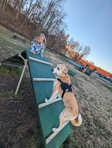 Port Jervis Dog Yard - Thumbnail