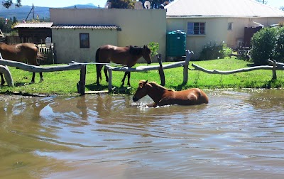 Photos of Garden Route Horse Trails