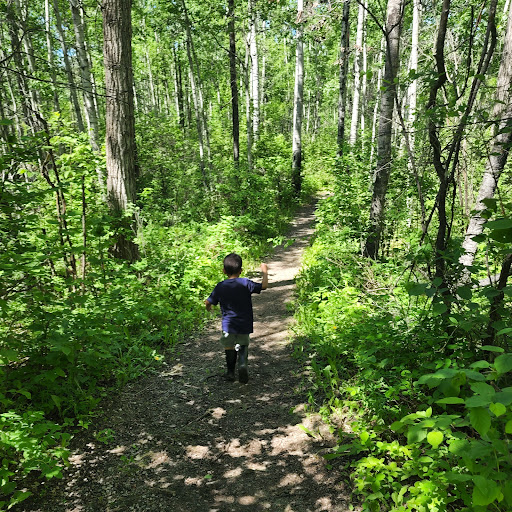 Thunder Lake Park Gallery - Canada
