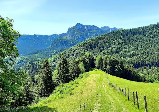 Adersberg-Höhenrundweg