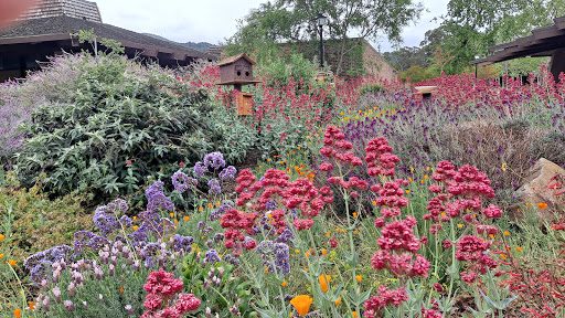 Foothill College Observatory - Thumbnail
