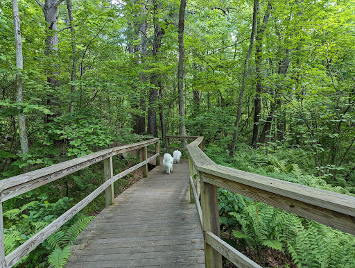 Acton Arboretum