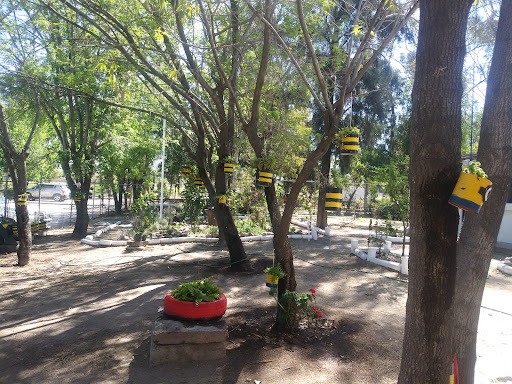Centro Regional de Educación y Cultura de la Biodiversidad (CEREBIO) - Thumbnail