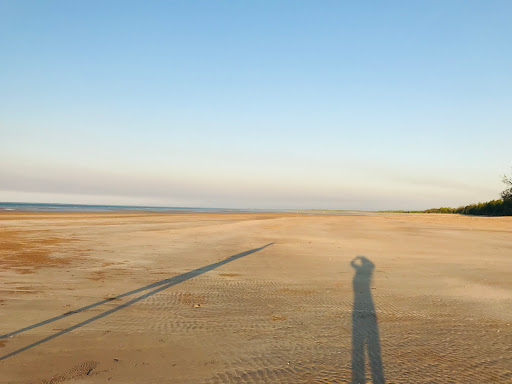 Lee Point Shorebird statues - Thumbnail