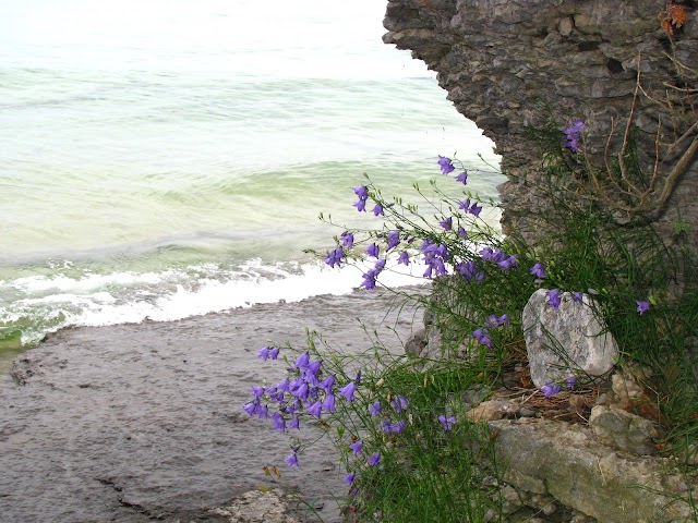 Point Petre