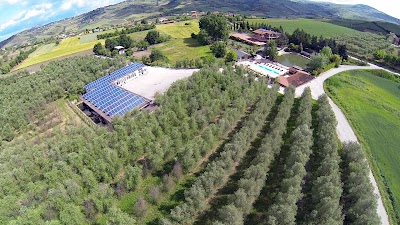 Photos of Farm Holiday Petrilli