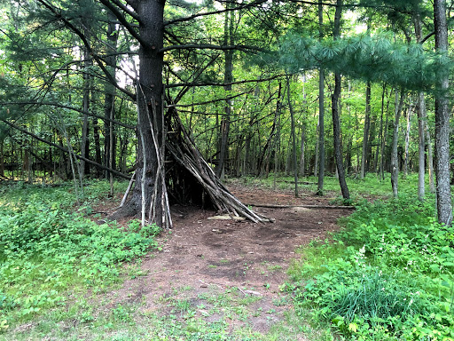 Log Tipi - Visual