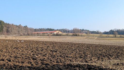 Klosterberg Percha - Visual