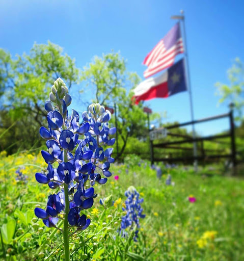 Dream Vacations - Spring, TX - Thumbnail