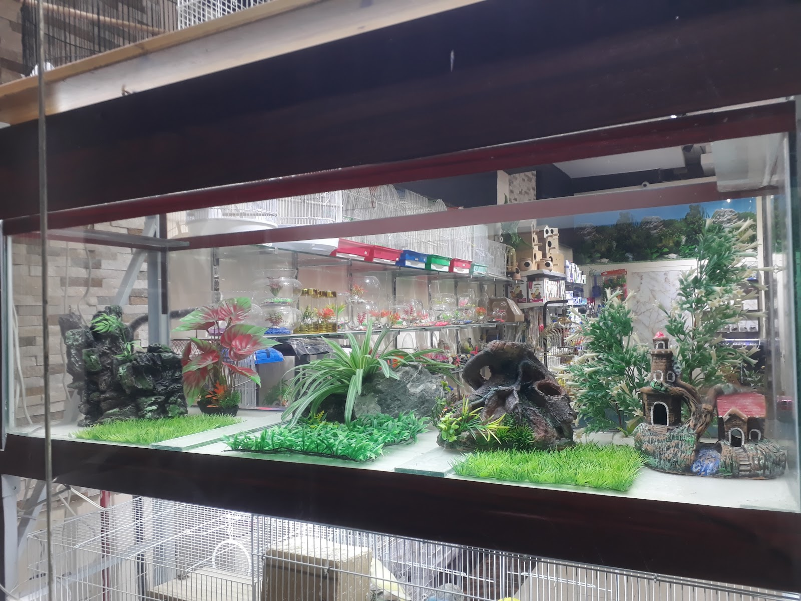 Majestic Pets & Aquarium - صورة 2