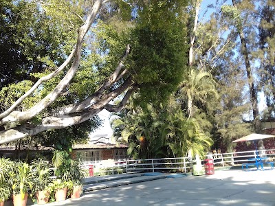 Photos of Normal School Tejupilco