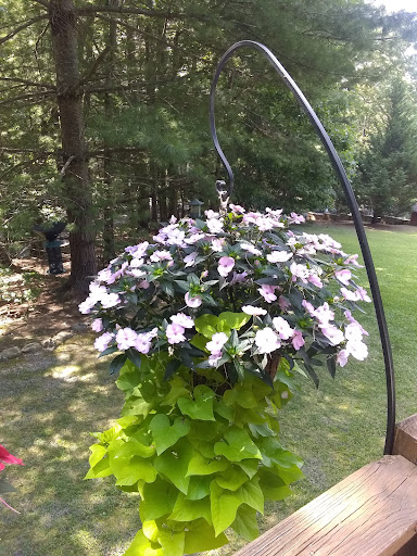 Basket Barn - Thumbnail