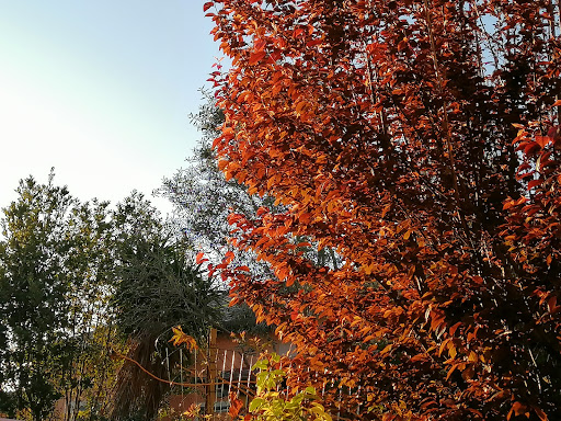 giardinieri e muratori specializzati - Thumbnail